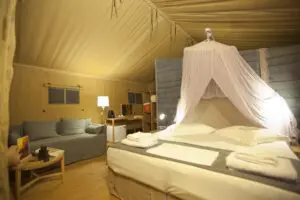 Hotel glamping. Glamping resort versus traditional