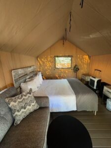 Buffalo Lodge Bicycle Resort Image 2 Interior view