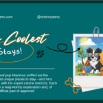 Unique Places to Stay